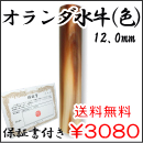 個人銀行印　オランダ水牛（色）　12.0ｍｍ